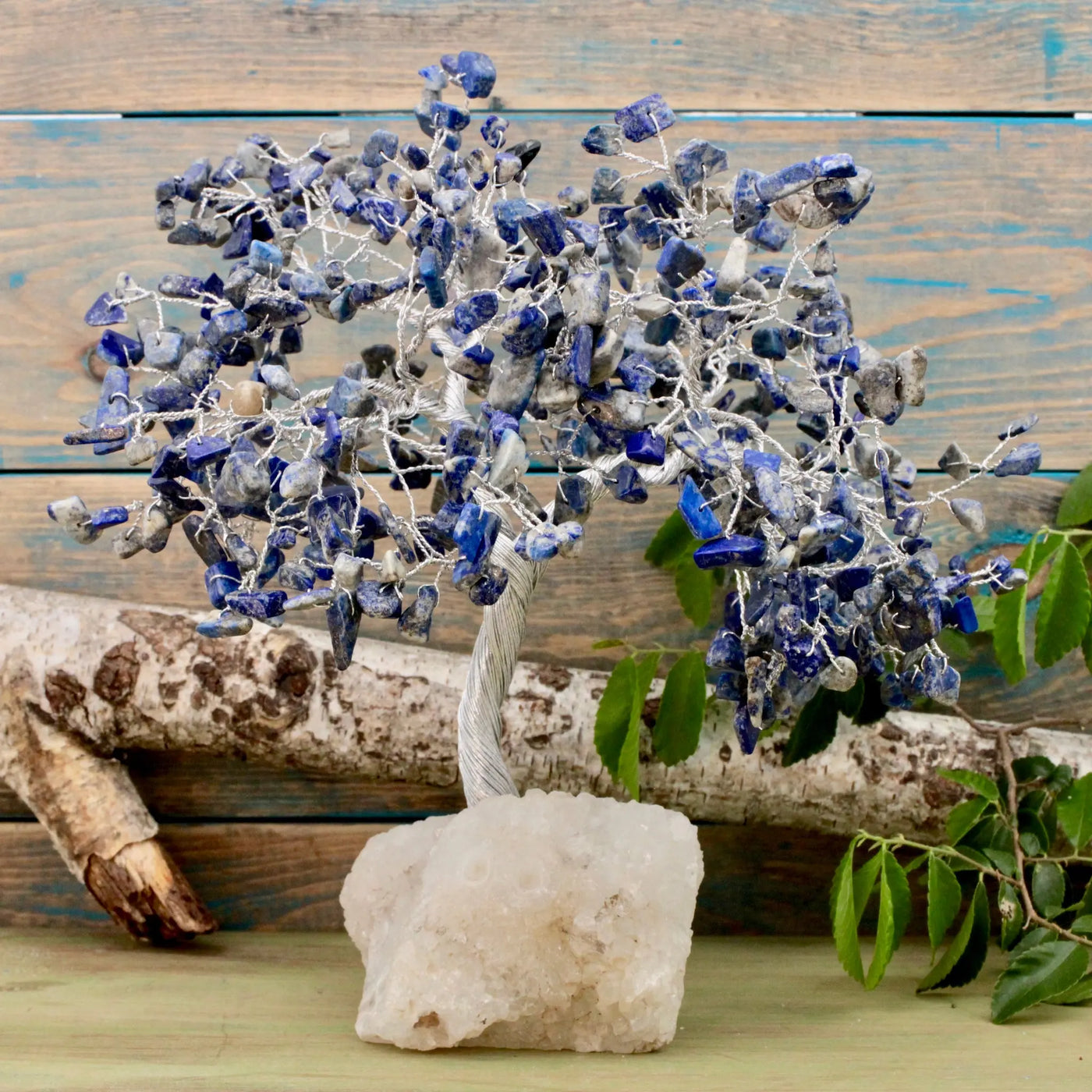 Sodalite Crystal Tree with Zeolite Base