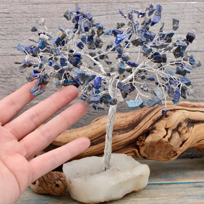 Sodalite Crystal Tree with Zeolite Base