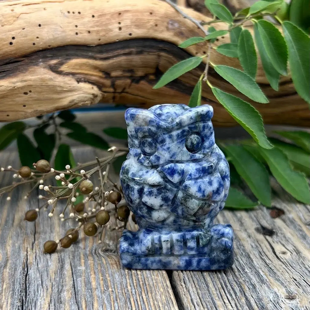 Sodalite Owl