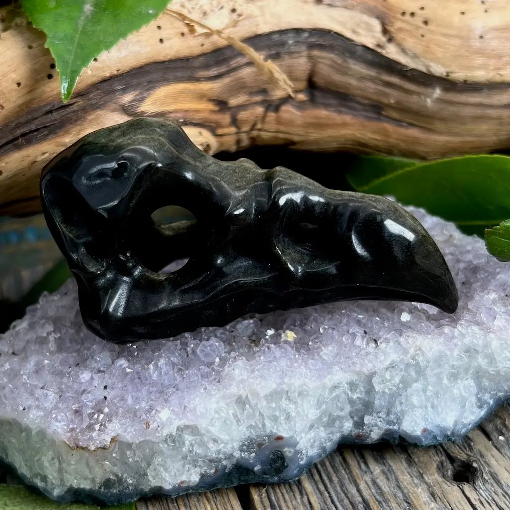 Golden Sheen Obsidian Bird Skull