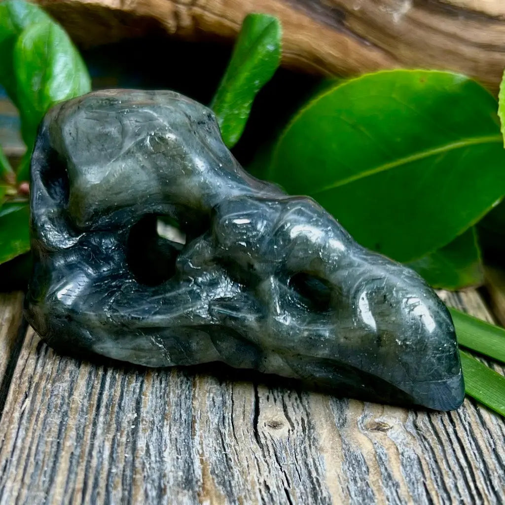 Labradorite Bird Skull