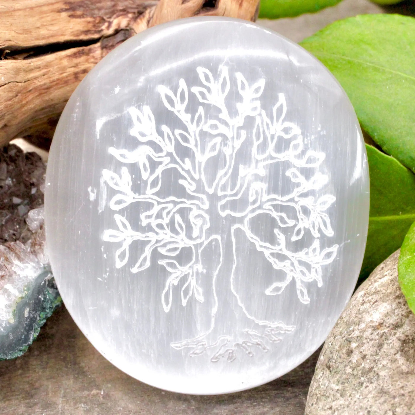 Tree of Life Etched Selenite Palm Stone
