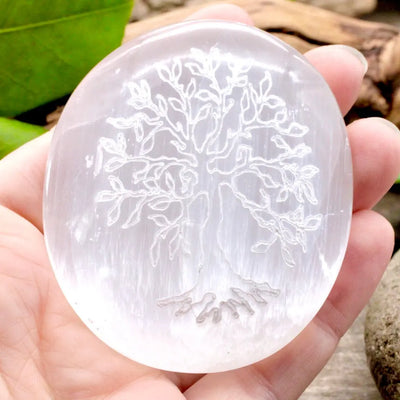 Tree of Life Etched Selenite Palm Stone