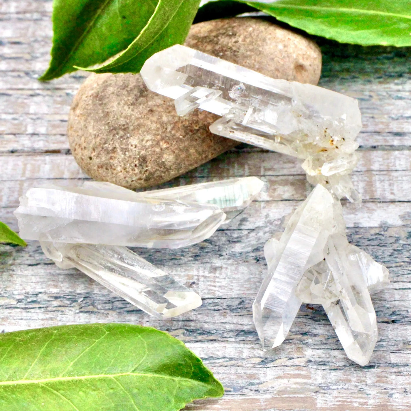 Small Lemurian Cluster