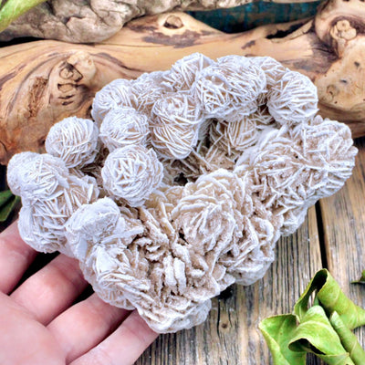 Desert Rose Selenite - Large