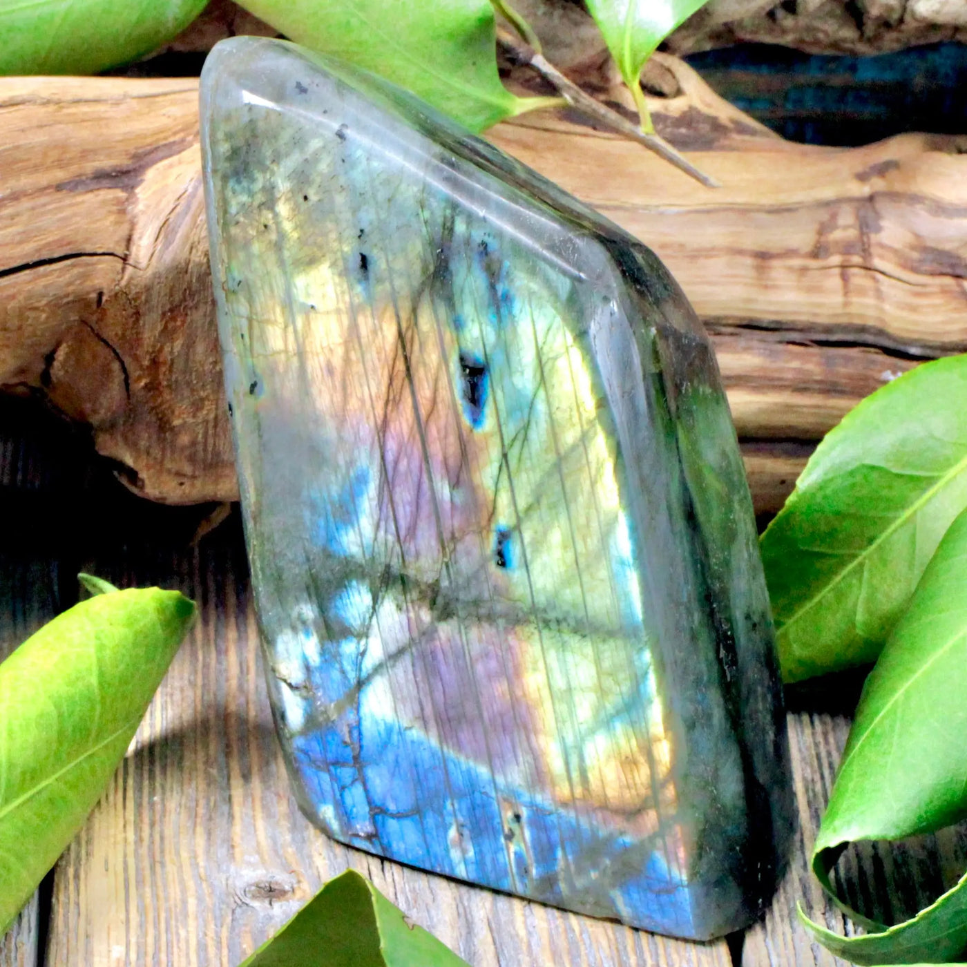 Labradorite Freeform