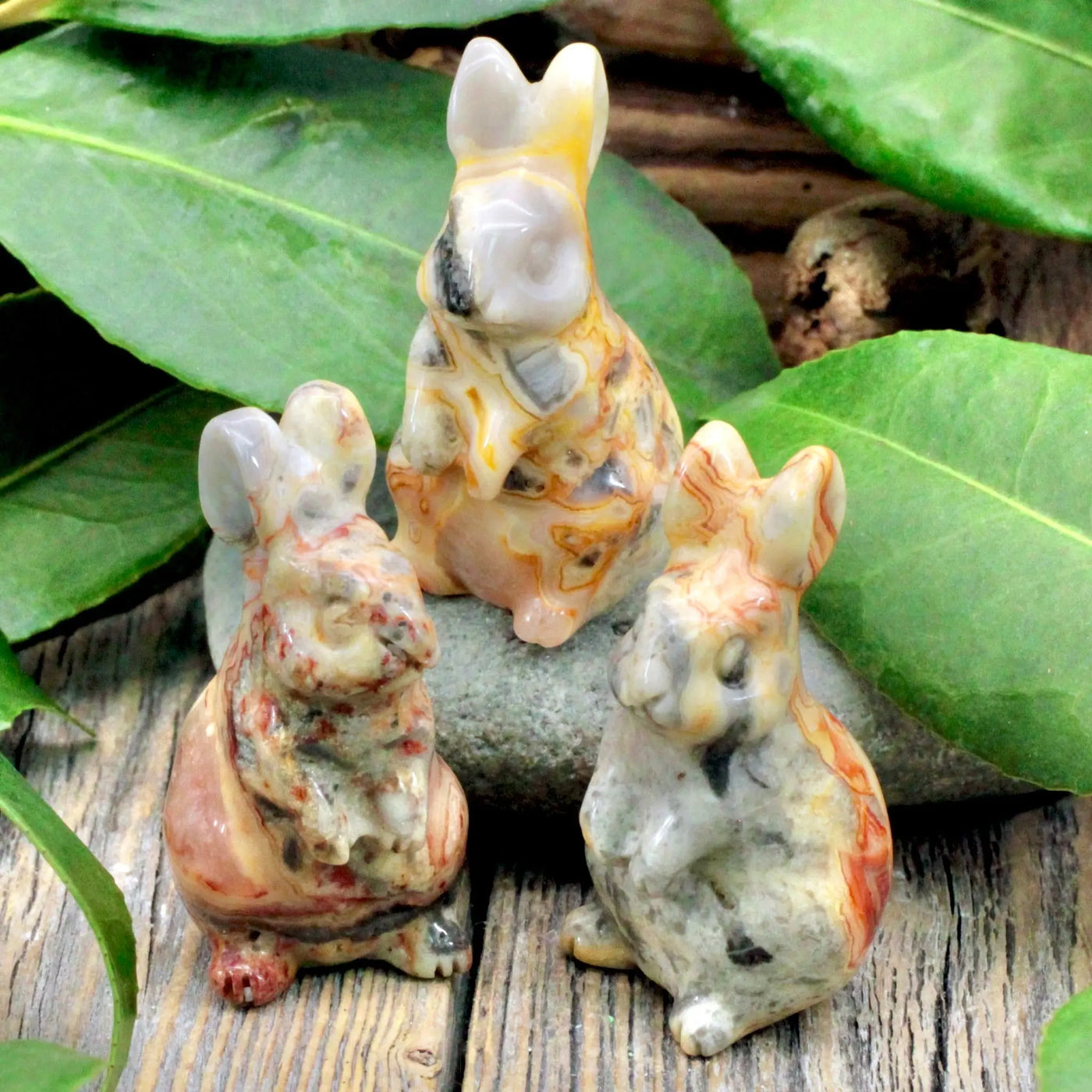 Crazy Lace Agate Bunny