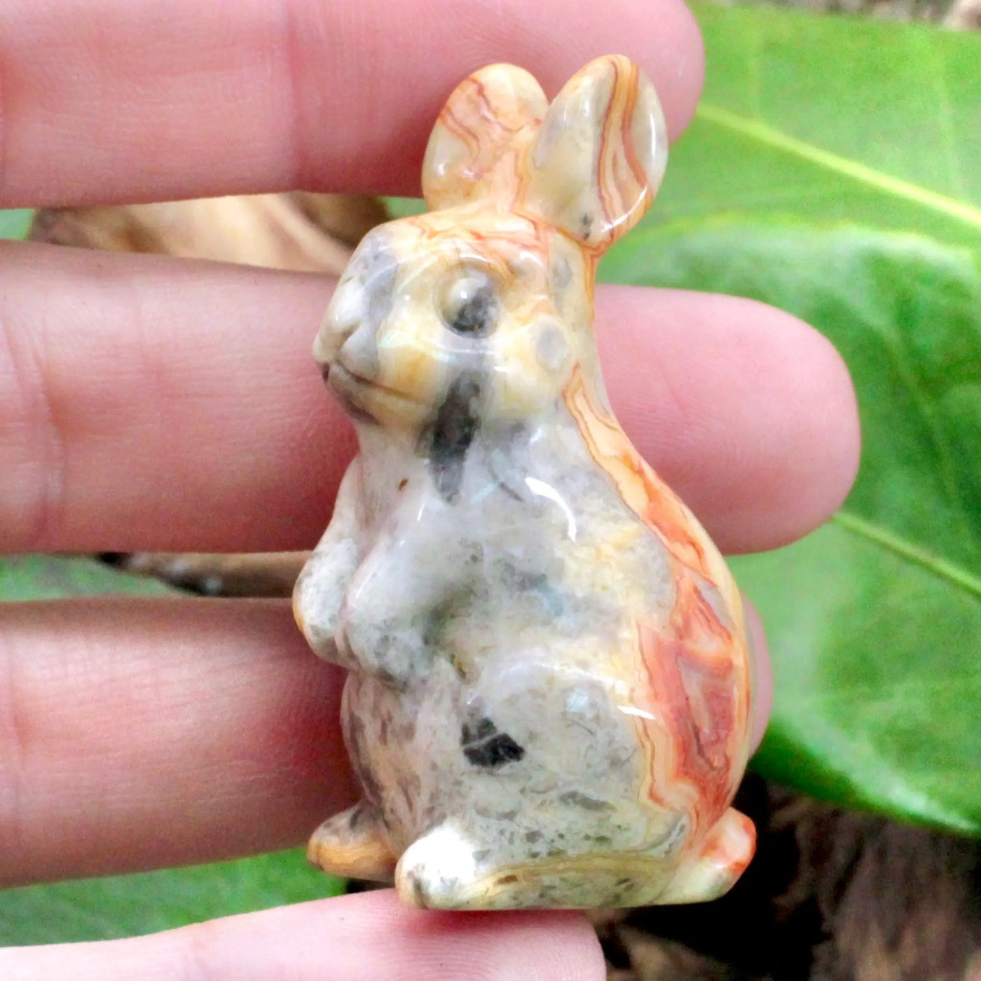 Crazy Lace Agate Bunny