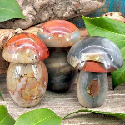 Polychrome Jasper Mushroom