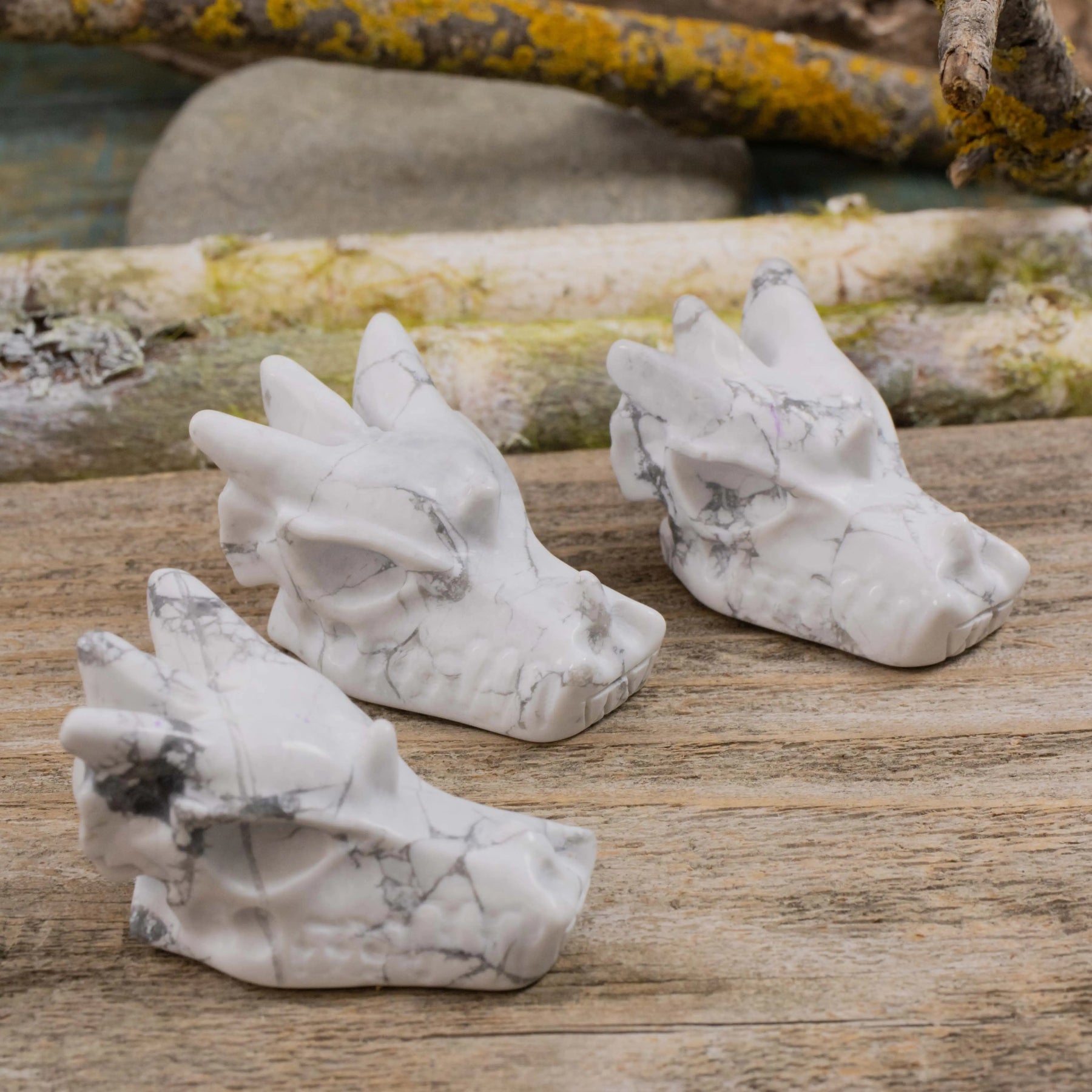 Crystal Dragon Head – RockMama.com